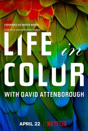 A Vida em Cores com David Attenborough - 1ª Temporada Completa