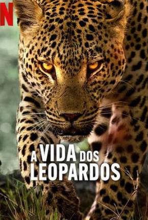 A Vida dos Leopardos